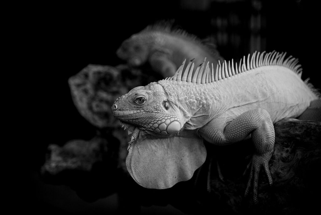 ベストライフにおけるパワハラ対策はどのように行うべきか？