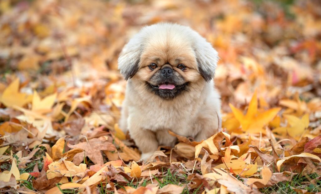 看護師が退職理由にパワハラを挙げる際、嘘は必要なのか？